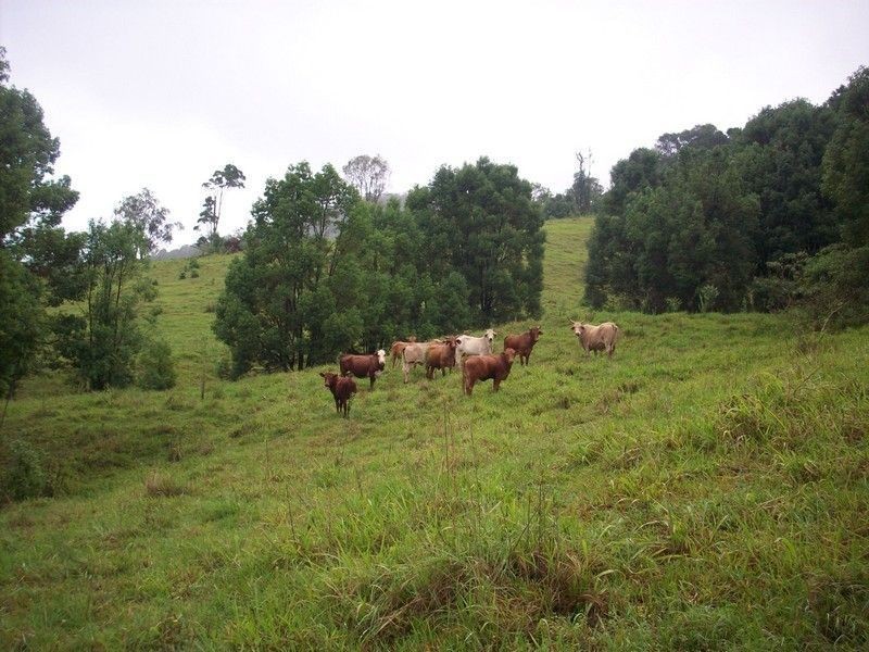 Lot 11 Jowetts Road, Upper Burringbar NSW 2483