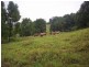 Lot 11 Jowetts Road, Upper Burringbar NSW 2483