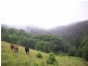 Lot 11 Jowetts Road, Upper Burringbar NSW 2483