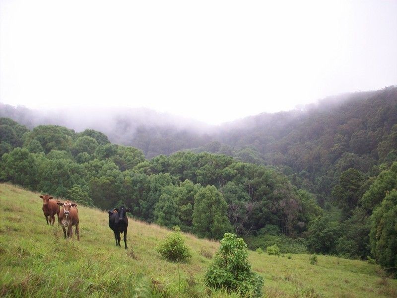 Lot 11 Jowetts Road, Upper Burringbar NSW 2483