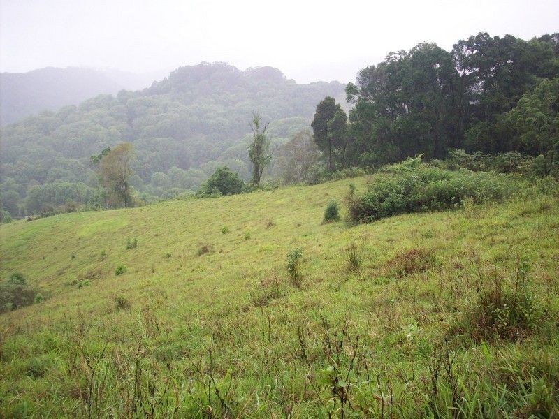 Lot 11 Jowetts Road, Upper Burringbar NSW 2483