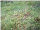 Lot 11 Jowetts Road, Upper Burringbar NSW 2483
