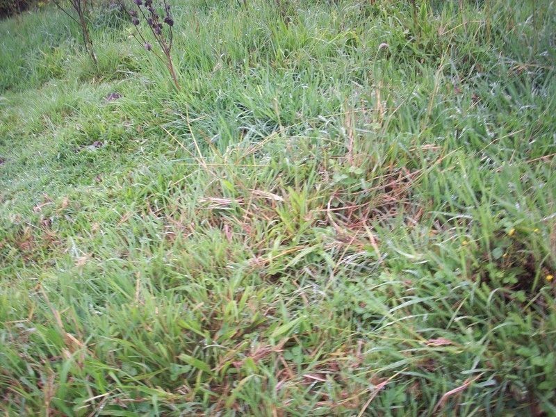 Lot 11 Jowetts Road, Upper Burringbar NSW 2483