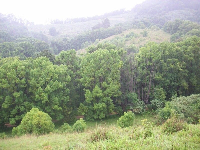 Lot 11 Jowetts Road, Upper Burringbar NSW 2483
