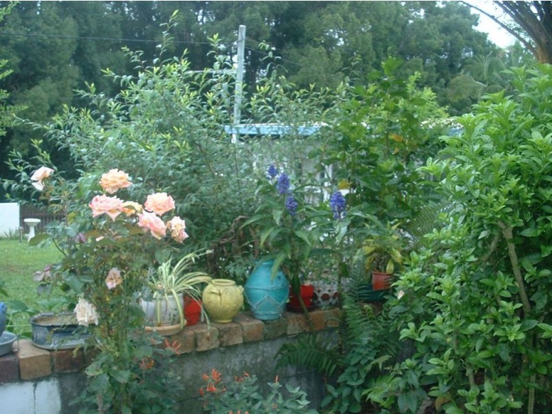 16 Station Street, Burringbar NSW 2483