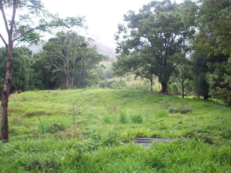 Lot 12 Jowetts Road, Upper Burringbar NSW 2483