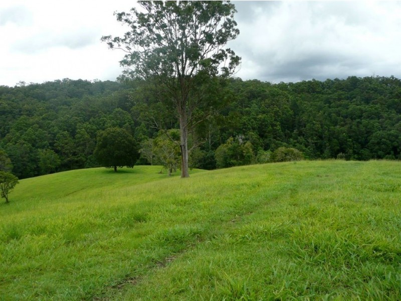 211 Zara Road, Chillingham NSW 2484