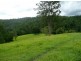 211 Zara Road, Chillingham NSW 2484