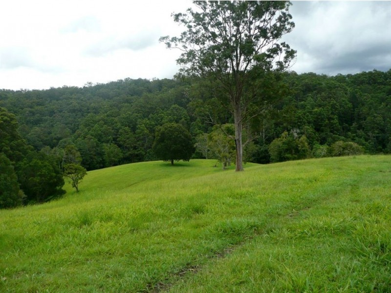 211 Zara Road, Chillingham NSW 2484