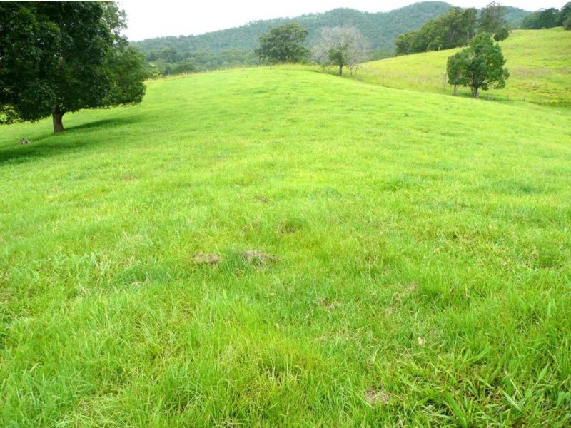 211 Zara Road, Chillingham NSW 2484