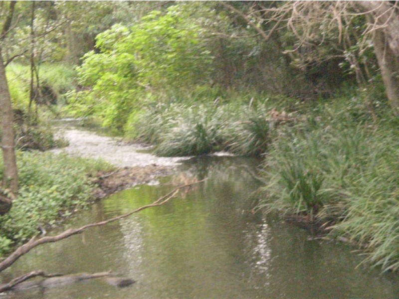 57 Crabbes Creek Road, Crabbes Creek NSW 2483