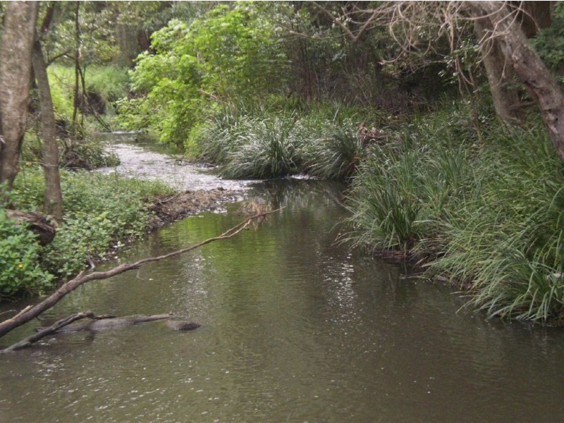 57 Crabbes Creek Road, Crabbes Creek NSW 2483