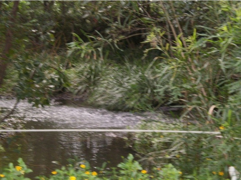 57 Crabbes Creek Road, Crabbes Creek NSW 2483