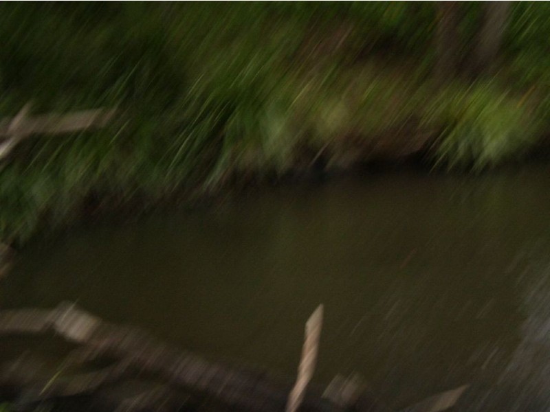 57 Crabbes Creek Road, Crabbes Creek NSW 2483