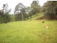 1154 Numinbah Road, Chillingham NSW 2484