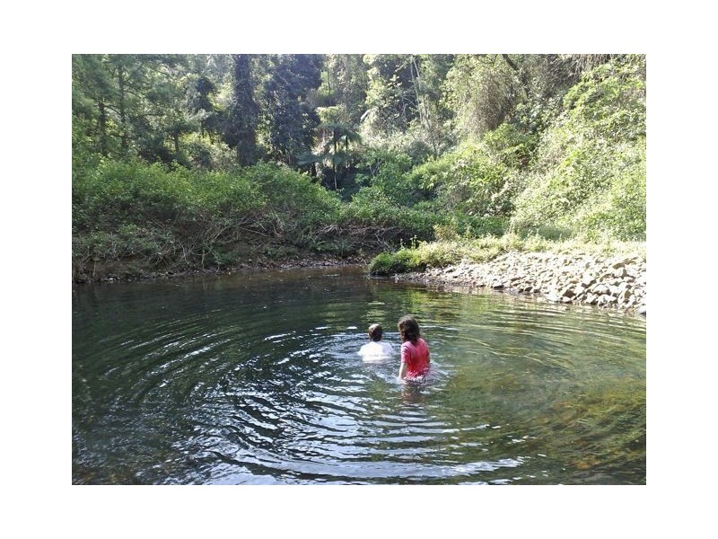 44 Upper Crystal Creek Road, Crystal Creek NSW 2484