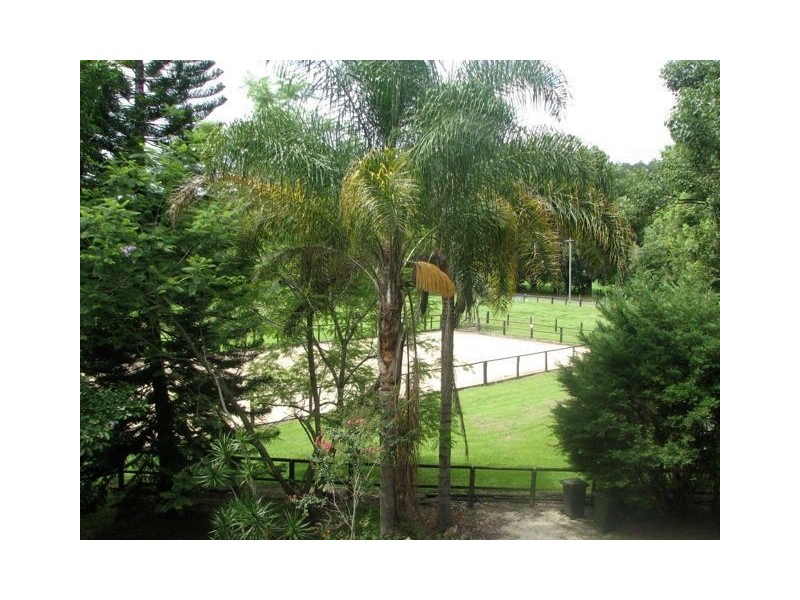 44 Upper Crystal Creek Road, Crystal Creek NSW 2484