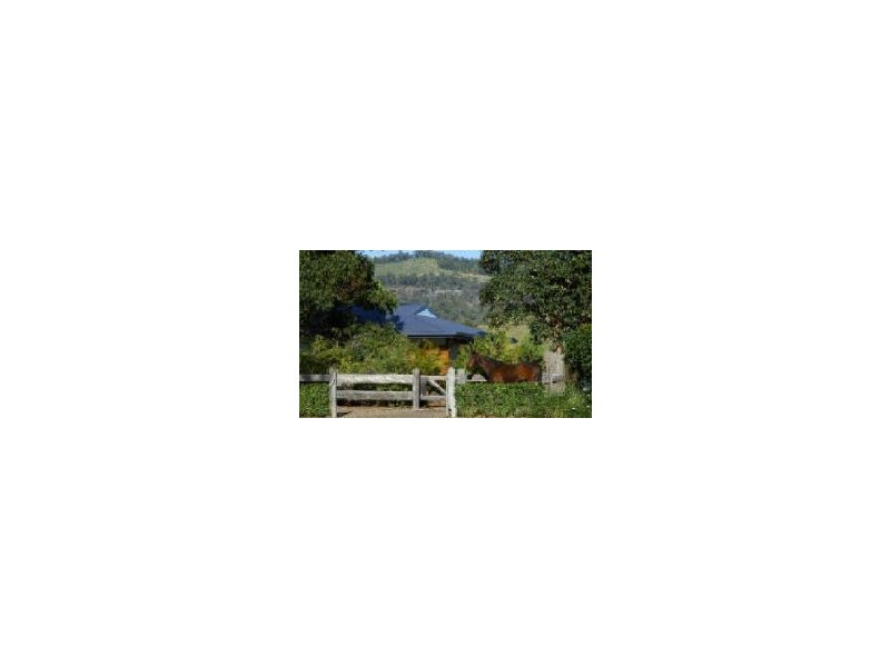 167 Upper Crystal Creek road, Upper Crystal Creek NSW 2484