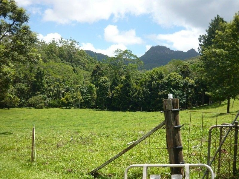 668 Upper Crystal Creek road, Upper Crystal Creek NSW 2484