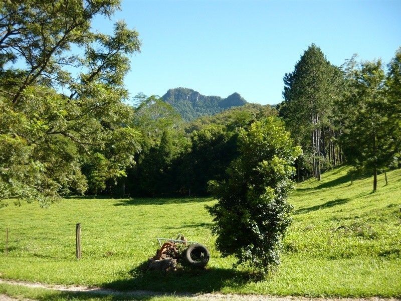 668 Upper Crystal Creek road, Upper Crystal Creek NSW 2484