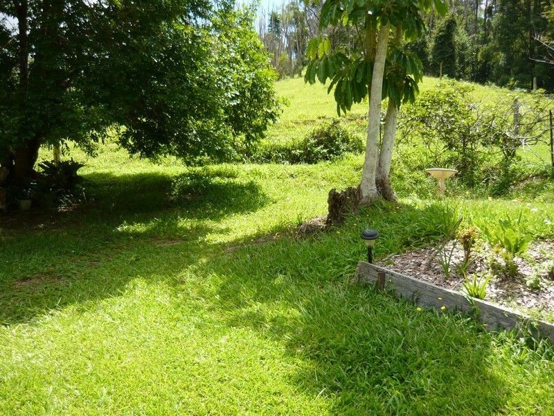 668 Upper Crystal Creek road, Upper Crystal Creek NSW 2484