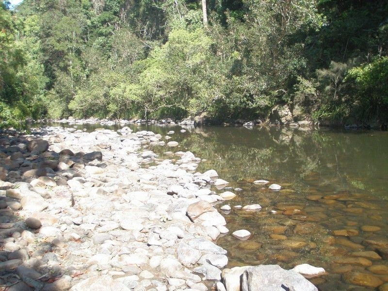 921 Tyalgum Road, Eungella NSW 2484