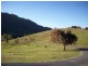 921 Tyalgum Road, Eungella NSW 2484