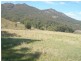 921 Tyalgum Road, Eungella NSW 2484