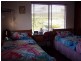 921 Tyalgum Road, Eungella NSW 2484