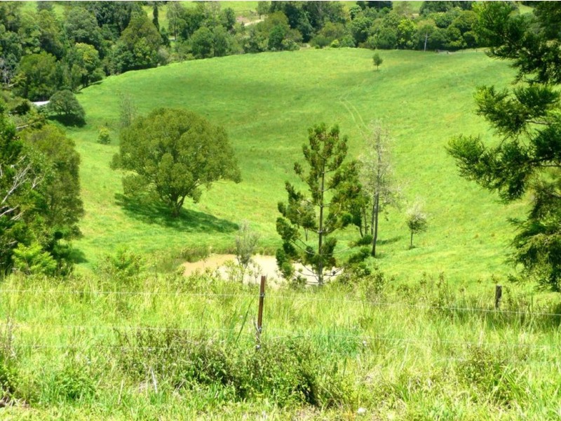 Lot 2 Mandalay Road, Kunghur NSW 2484