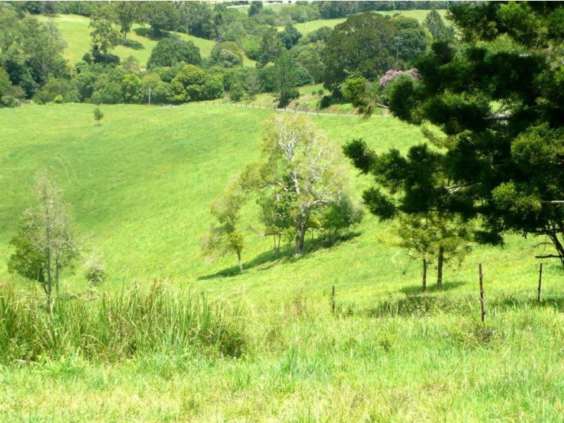 Lot 2 Mandalay Road, Kunghur NSW 2484
