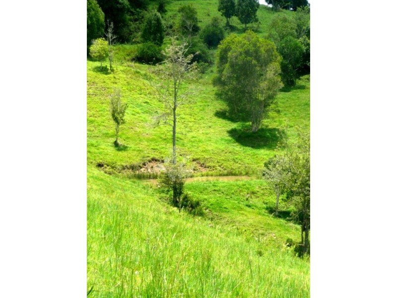 Lot 2 Mandalay Road, Kunghur NSW 2484