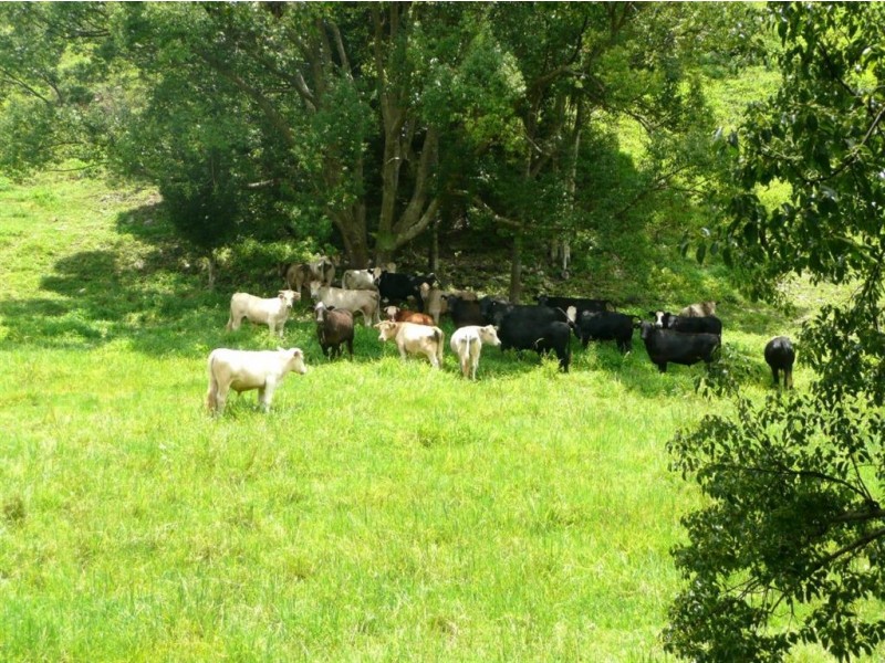 Lot 2 Mandalay Road, Kunghur NSW 2484