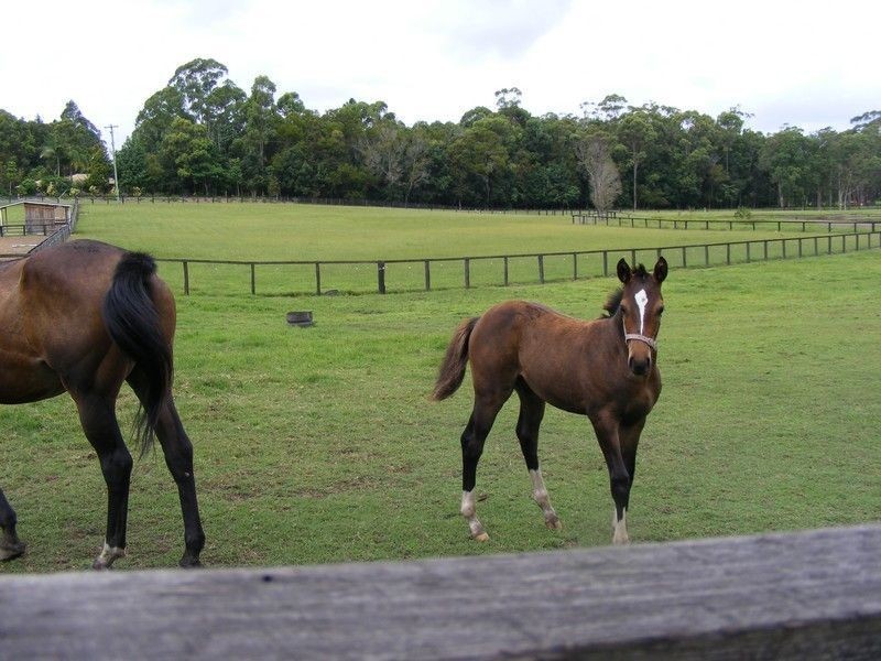 33 baromi Road, Kynnumboon NSW 2484