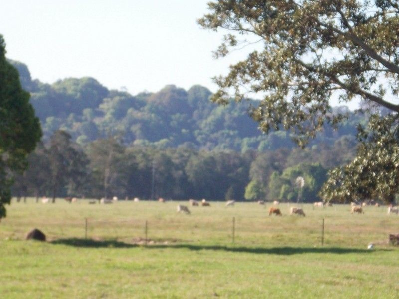 592 McAuleys Road, North Tumbulgum NSW 2490