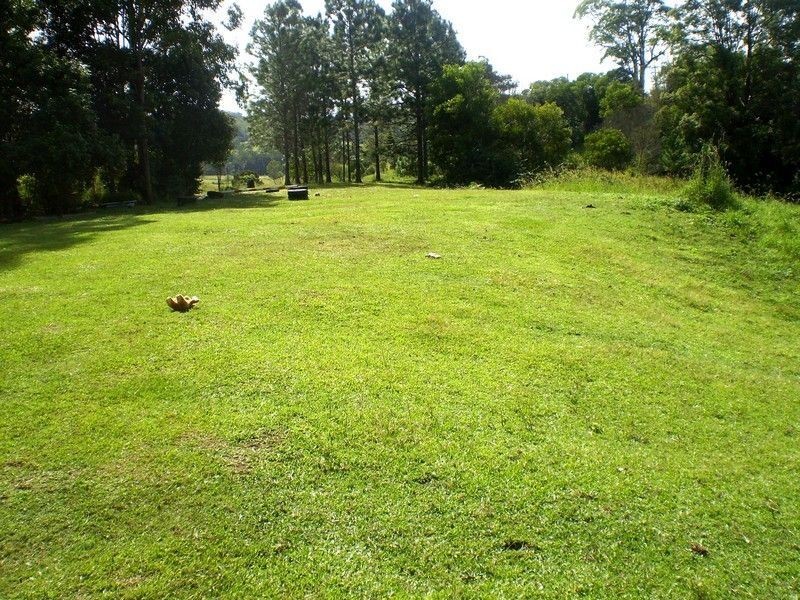 806 Limpinwood Road, Tyalgum NSW 2484