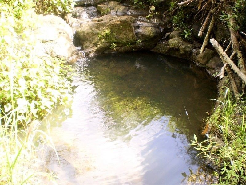 806 Limpinwood Road, Tyalgum NSW 2484