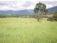 1563 Tyalgum Road, Tyalgum NSW 2484