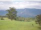 1563 Tyalgum Road, Tyalgum NSW 2484