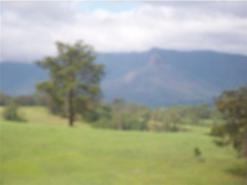 1563 Tyalgum Road, Tyalgum NSW 2484