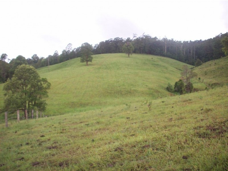 1563 Tyalgum Road, Tyalgum NSW 2484