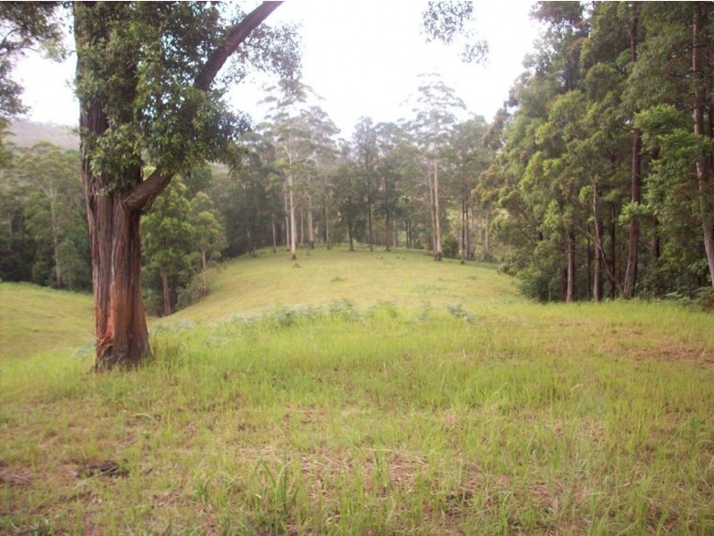 1563 Tyalgum Road, Tyalgum NSW 2484