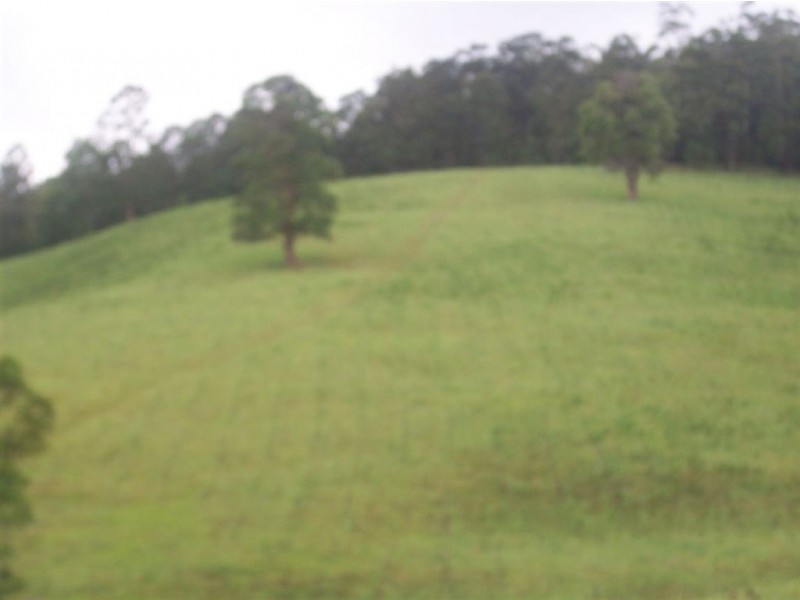 1563 Tyalgum Road, Tyalgum NSW 2484