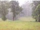 1563 Tyalgum Road, Tyalgum NSW 2484
