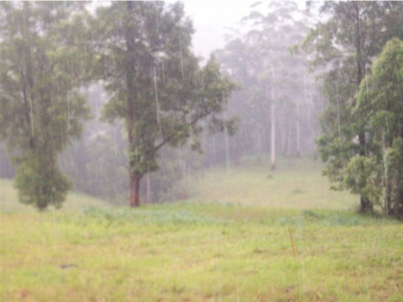 1563 Tyalgum Road, Tyalgum NSW 2484