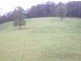 1563 Tyalgum Road, Tyalgum NSW 2484