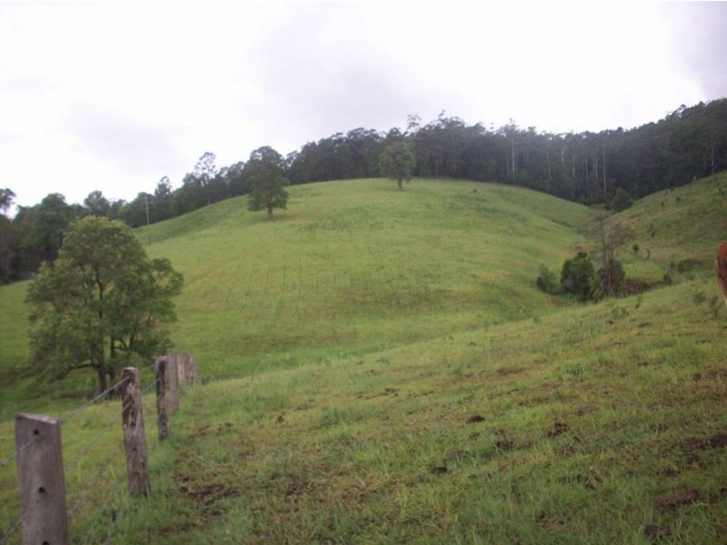 1563 Tyalgum Road, Tyalgum NSW 2484