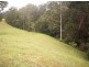 1563 Tyalgum Road, Tyalgum NSW 2484