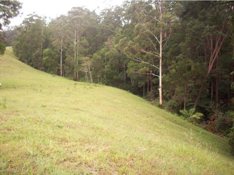 1563 Tyalgum Road, Tyalgum NSW 2484