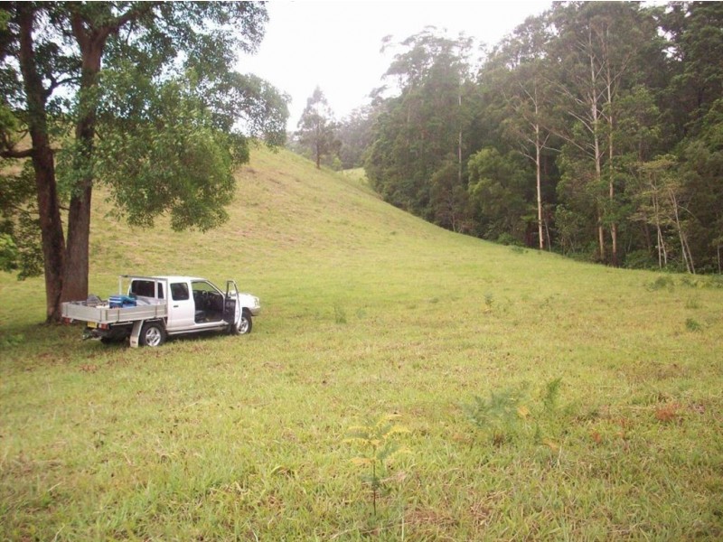 1563 Tyalgum Road, Tyalgum NSW 2484